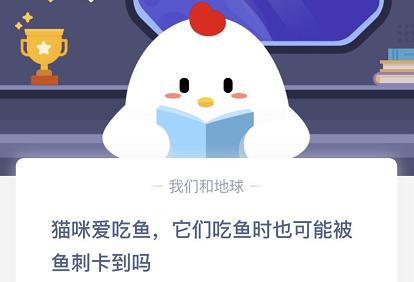 猫咪吃鱼也需防鱼刺卡喉：蚂蚁庄园小课堂揭示养猫小知识