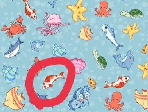 王者荣耀找物题解析：大乔的鱼、李白的剑与苏烈的“什么”