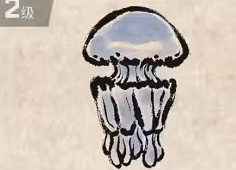 潜水员戴夫桶水母抓捕全攻略