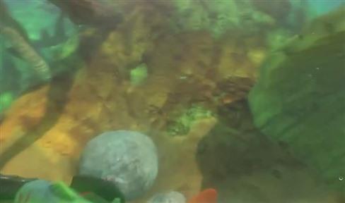 淘手游苹果app卡顿？试试这几招解决卡壳问题