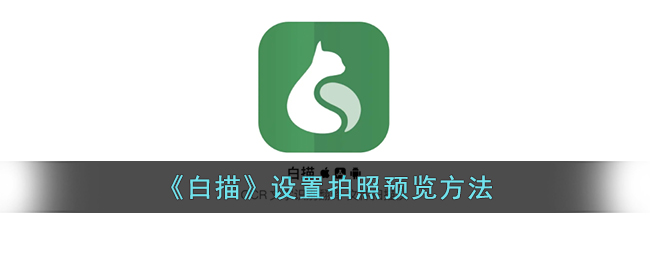 白描拍照预览怎么改