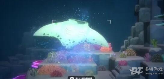 潜水员戴夫拍照全攻略：从入门到进阶的技巧分享