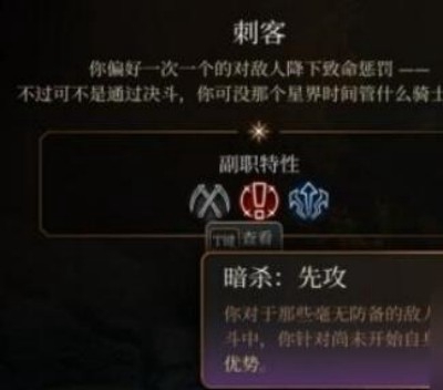 盗贼：博德之门3游荡者子职业的最佳选择