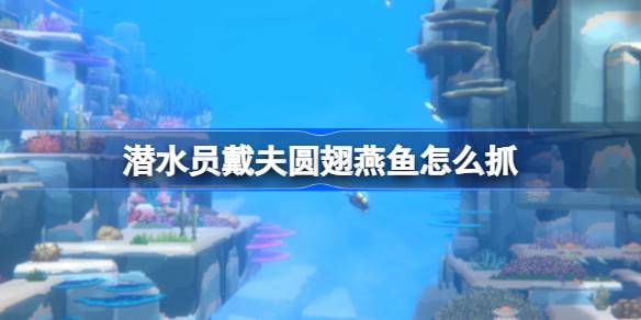 潜水员戴夫圆翅燕鱼抓捕全攻略