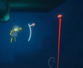 潜水员戴夫金眼鲷捕捉的方式