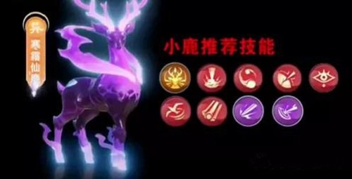梦幻新诛仙寒霜仙鹿PVP技能怎么选？