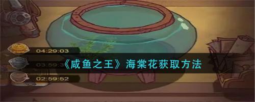 海棠花在咸鱼之王中的关键作用与获取策略