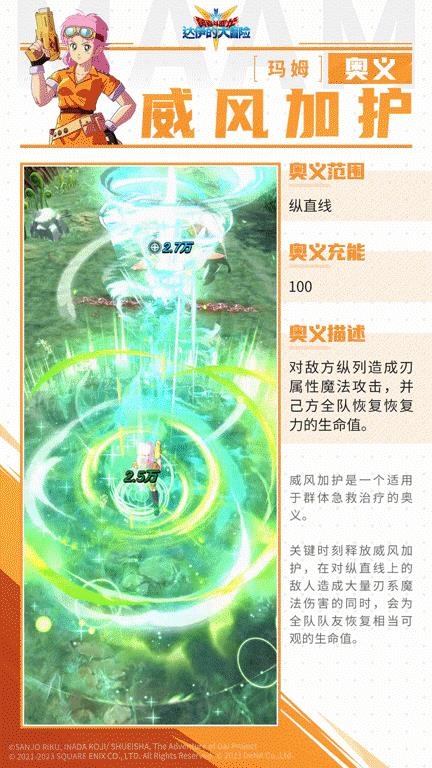 玛姆（刃系）深度解析：刚柔并济的战斗艺术