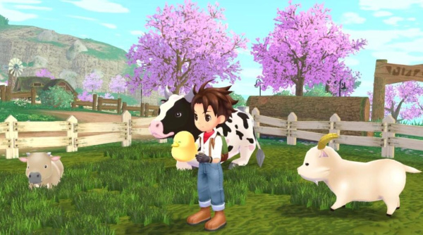 牧场物语中秋满月：100%牧场度通关全攻略