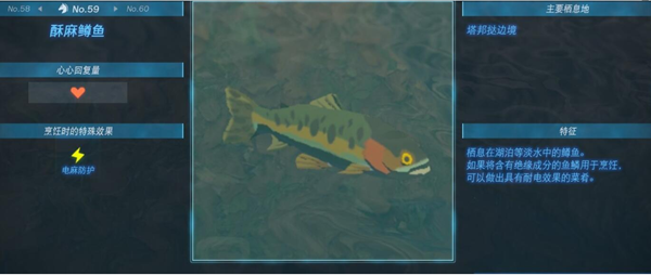 王国之泪酥麻鳟鱼怎么抓