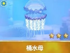 潜水员戴夫桶水母抓捕全攻略