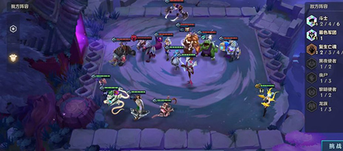 狂野换形刺阵容详解：强度解析与实战攻略