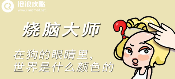 狗眼中的世界：黑白灰的视觉盛宴