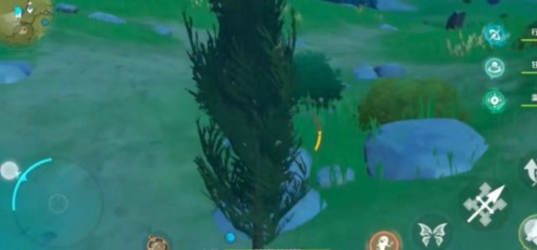 璃月无妄坡：原神松木采集攻略核心区域