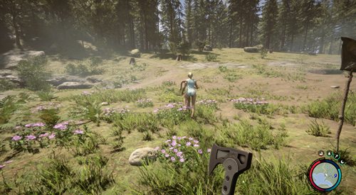 森林之子绳索枪获取攻略：炸开肉山是关键