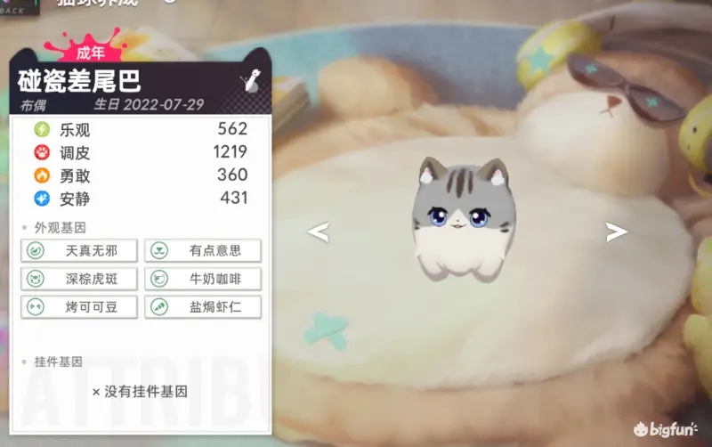 猫之城碰瓷猫的培育与养成全攻略