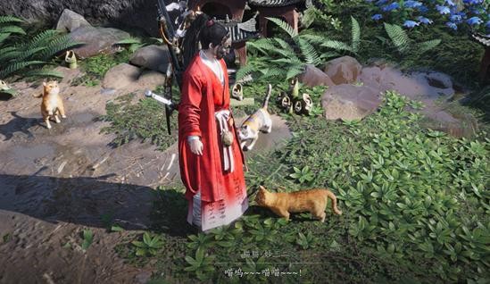 燕云十六声喵喵庙作用介绍