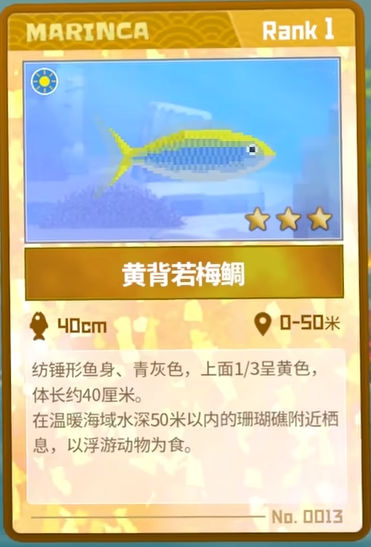 潜水员戴夫黄背若梅鲷的踪迹与捕获之道