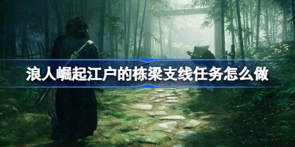 浪人崛起江户的栋梁支线任务全解析