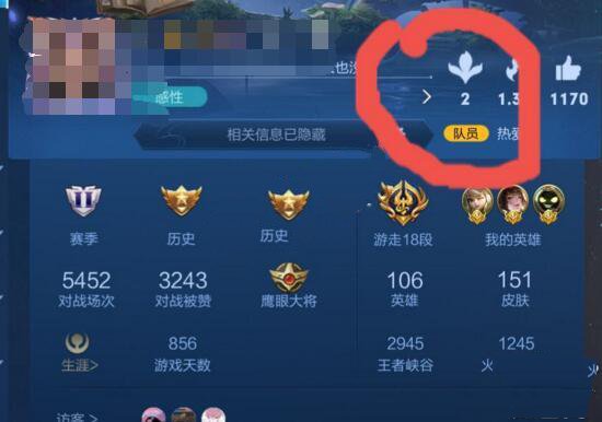 王者荣耀S24赛季个人主页界面调整：送花功能与战区位置变动解析