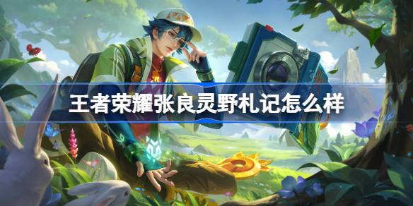 王者荣耀张良灵野札记皮肤深度体验：特效解析与获取方式全解析