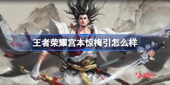 王者荣耀宫本惊梅引值不值得入手？全面评测助你做决定