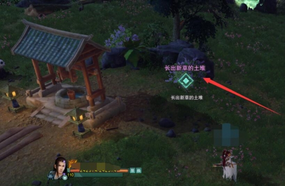 烟花戏风奇遇任务详解：如何完成并获得宠物鸿鸿