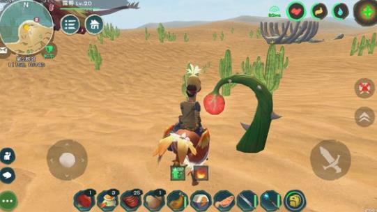 火龙饲料与龙涎草的搜寻之旅