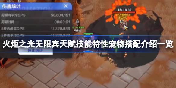 火炬之光无限宾天赋技能特性宠物搭配全解析