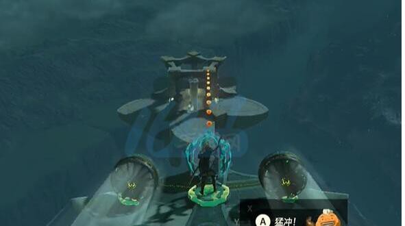 王国之泪空中花瓣的探索与获取指南