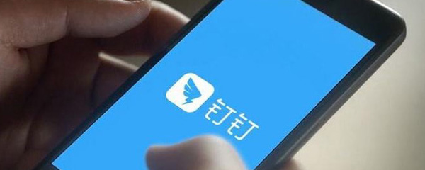 电脑版钉钉联系人工客服全攻略