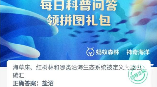 海草床、红树林和盐沼：海洋中的蓝色碳汇