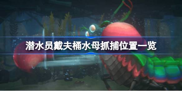 潜水员戴夫桶水母抓捕全攻略