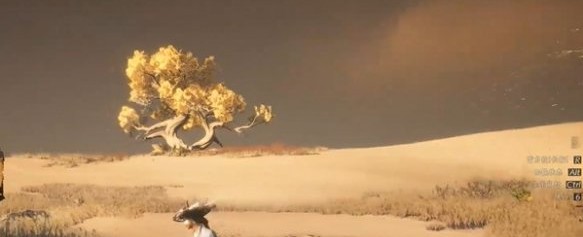 燕云十六声迷津渡天地万籁在哪里