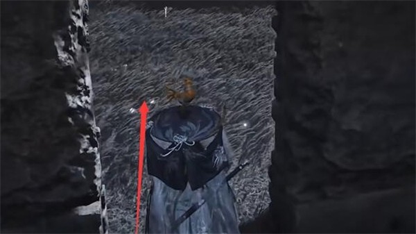 燕云十六声六疾哀鸣任务全攻略：步骤详解与关键点解析