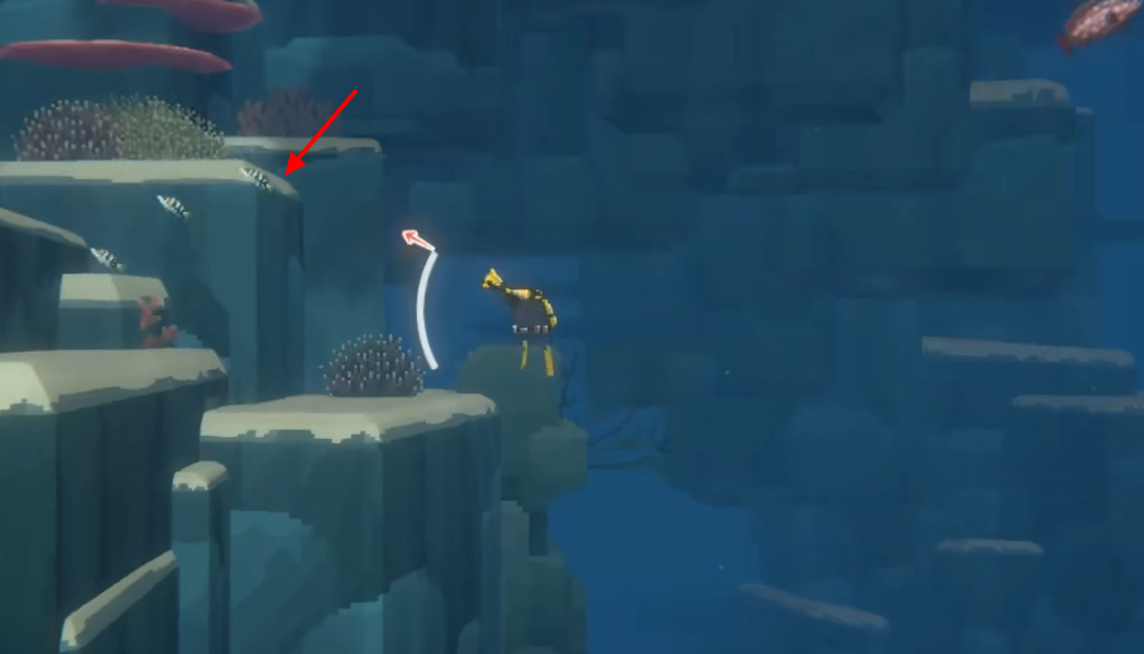 潜水员戴夫：纹首鮨的抓捕攻略与心得