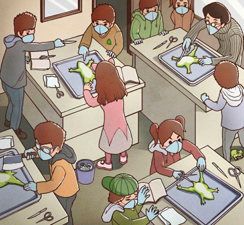 班主任模拟器第126关通关指南：生物课上的推理挑战