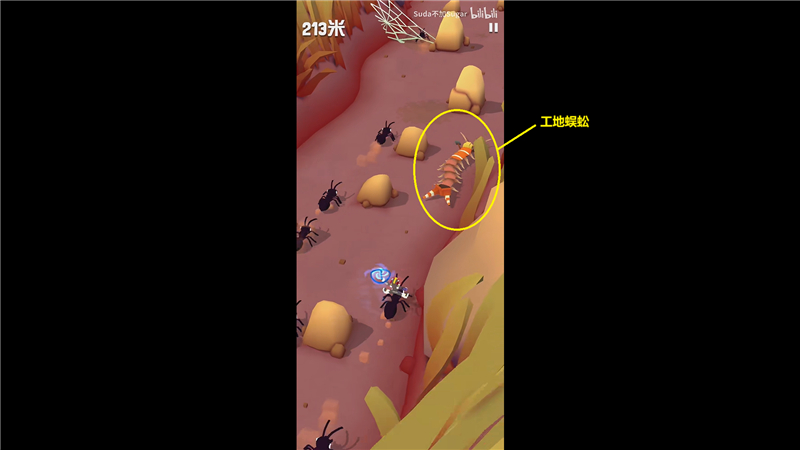 疯狂动物园花园Boss逐个击破：详细捕捉攻略