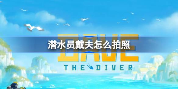 潜水员戴夫拍照全攻略：从入门到进阶的技巧分享