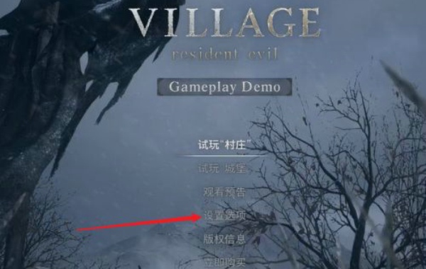 生化危机8全屏设置全攻略