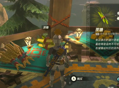 王国之泪蔗糖获取全攻略：利特村与海拉鲁城堡购买位置及作用详解