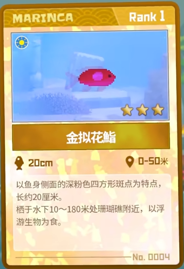 潜水员戴夫金拟花鮨怎么抓