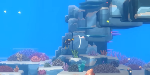 潜水员戴夫鲳鲹抓捕全攻略