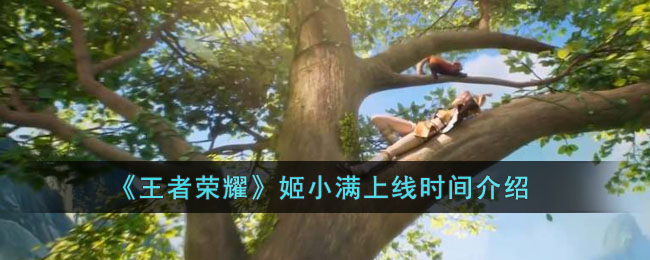 王者荣耀姬小满上线时间深度解析