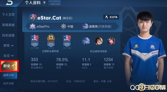 王者荣耀职业选手认证系统深度解析：标志识别与匹配攻略