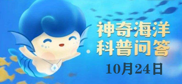 海洋动物也会得癌症，概率虽不高但确实存在