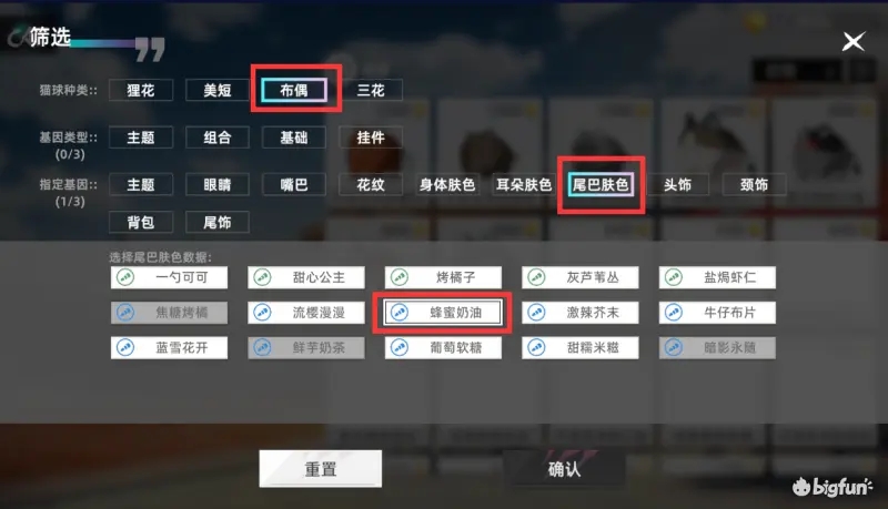猫之城碰瓷猫的培育与养成全攻略