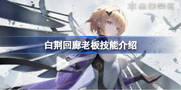 白荆回廊老板实力深度解析：技能机制与强度全面评估