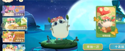 猫咪公寓2祈福奖池怎么选