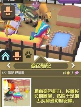 疯狂动物园稀有动物抓捕攻略，全部地区稀有动物一览